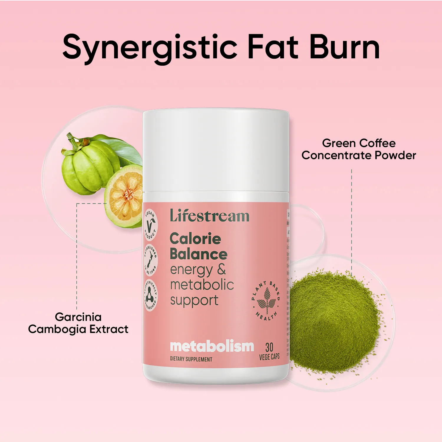 Calorie Balance - Image 4