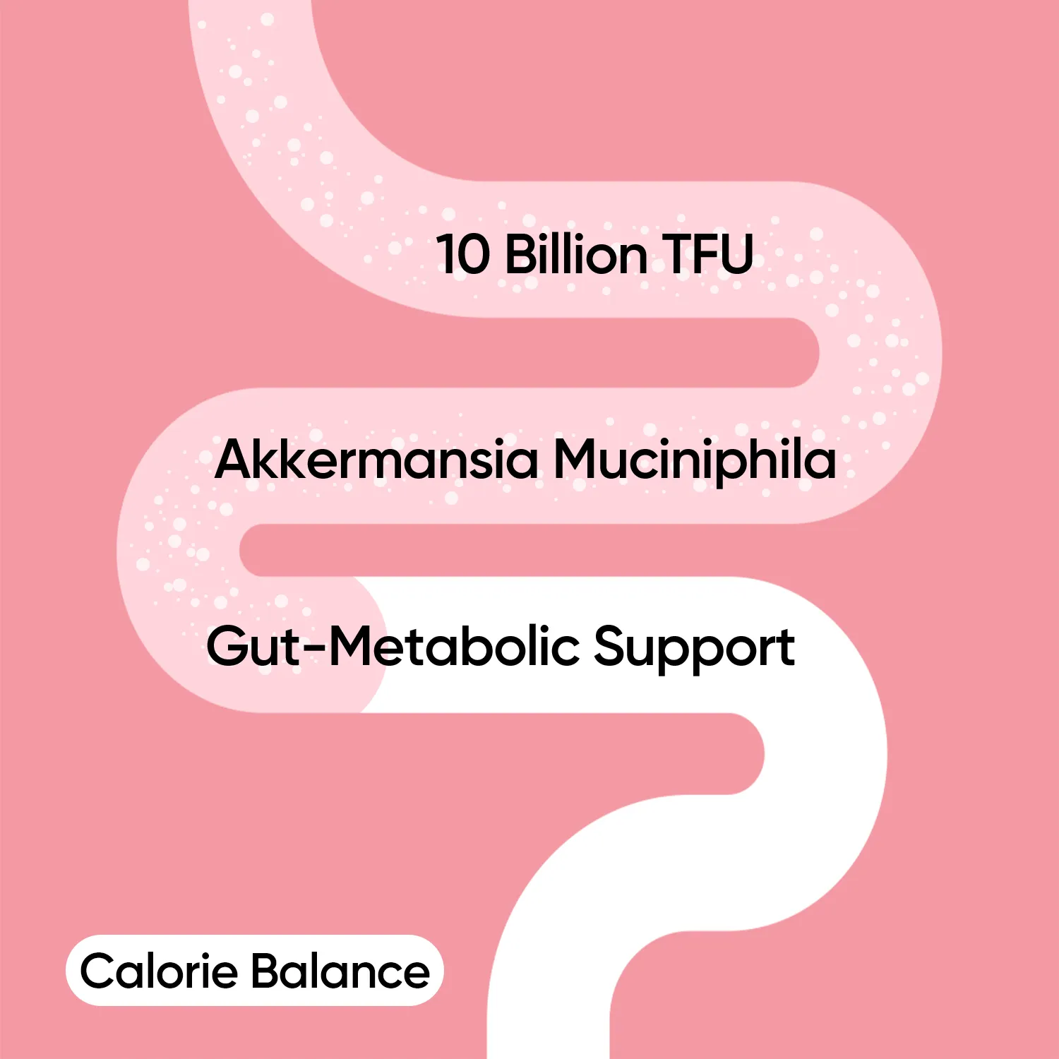 Calorie Balance - Image 5