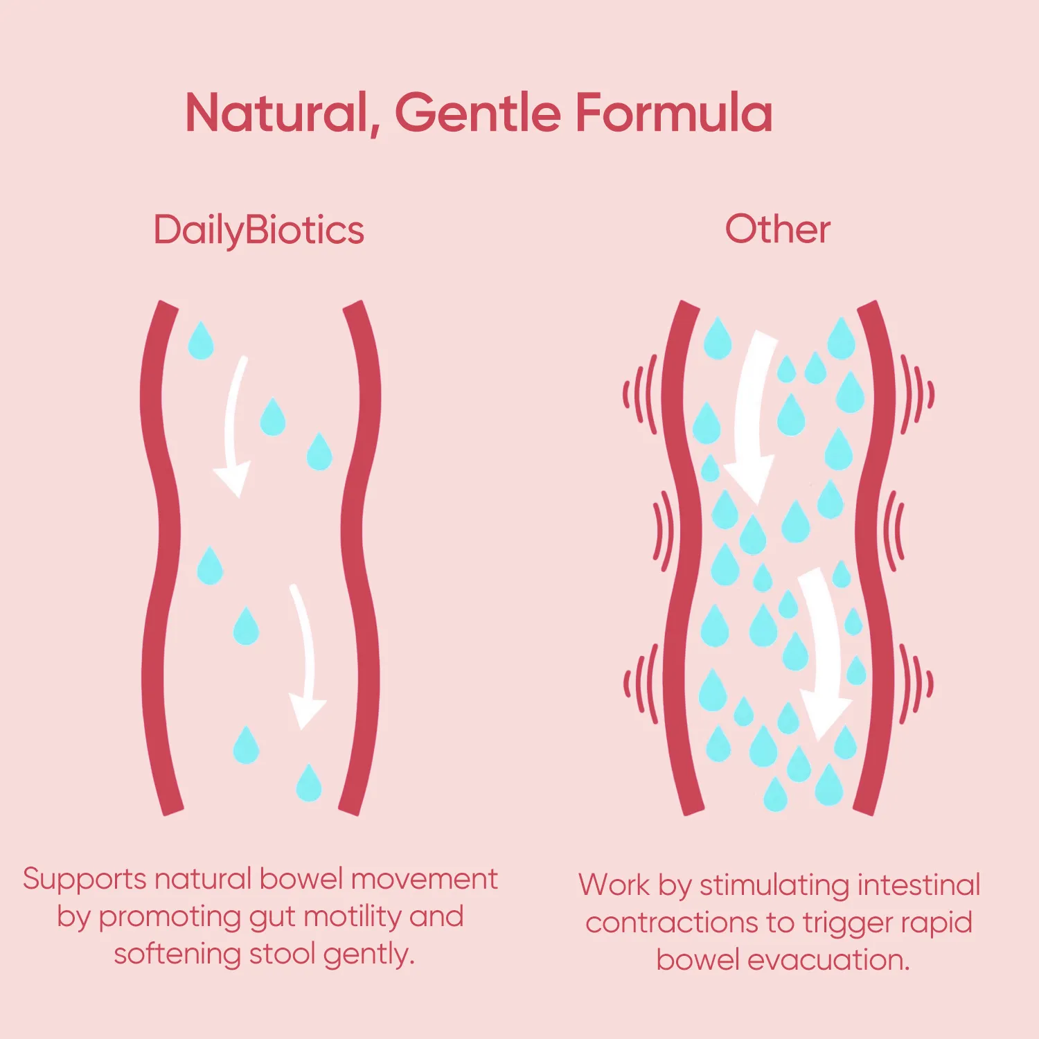 DailyBiotics - Image 4