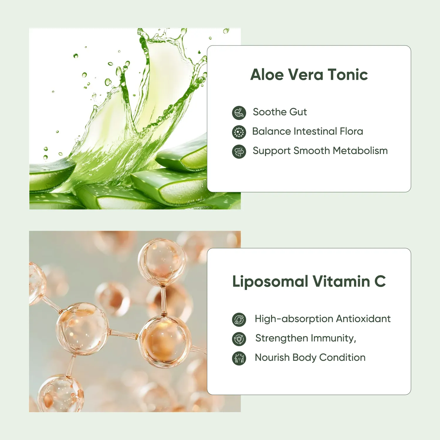 Gut & Immune Wellness Bundle - Image 3
