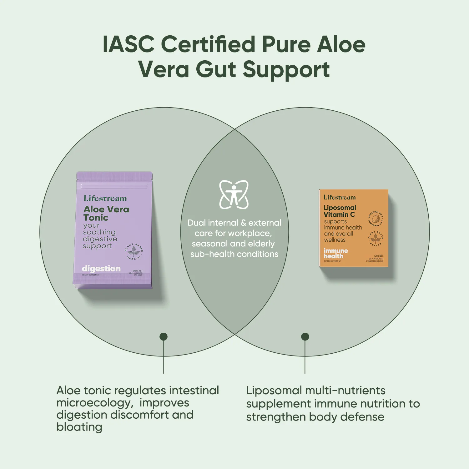 Gut & Immune Wellness Bundle - Image 6