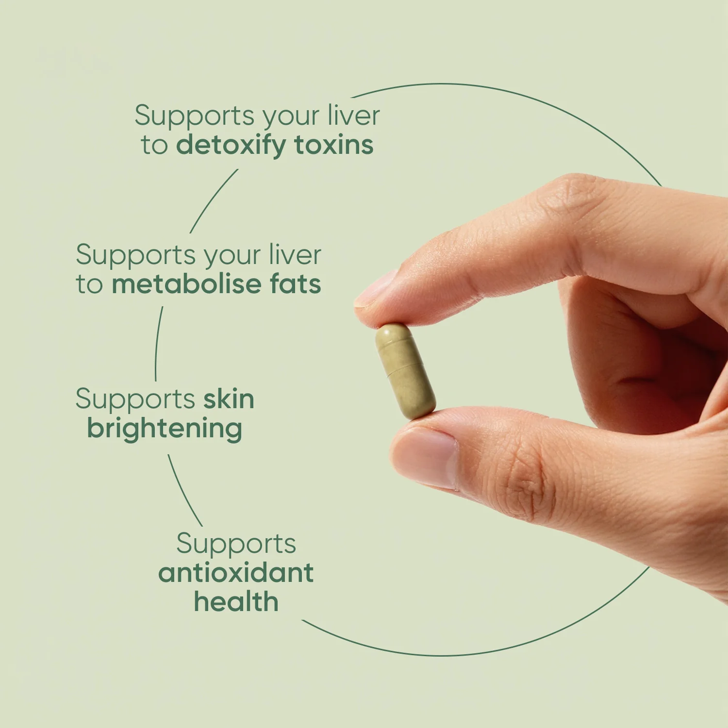 Milk Thistle 3X Detox+ - Image 3